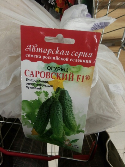 1_Огурец Саровский F1.jpg